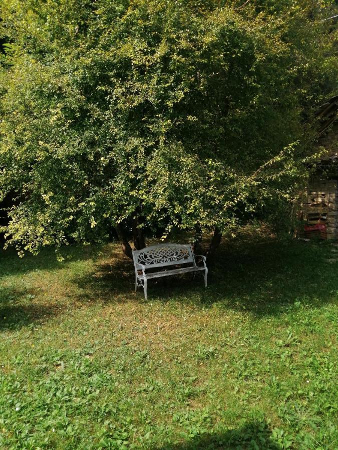 A Casa Di Anna Bed & Breakfast Cortemilia Dış mekan fotoğraf